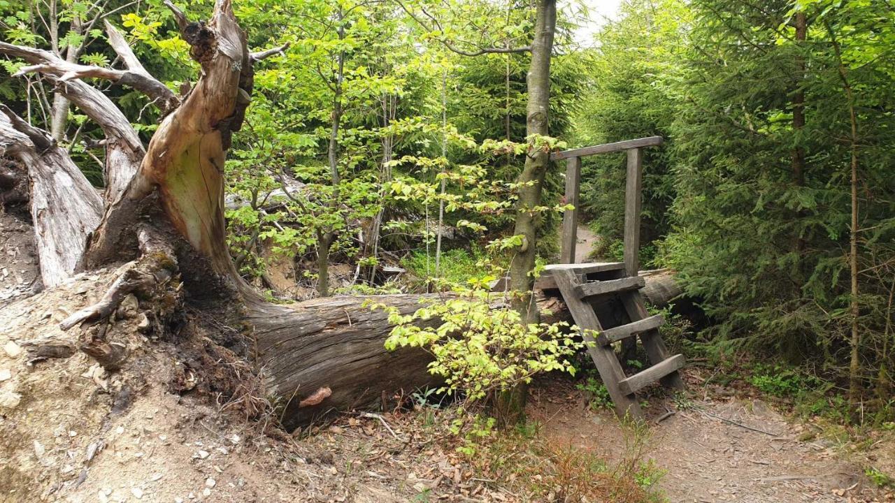 Ferienwohnung Mohnwiese Und Blumenwiese Willingen  Luaran gambar